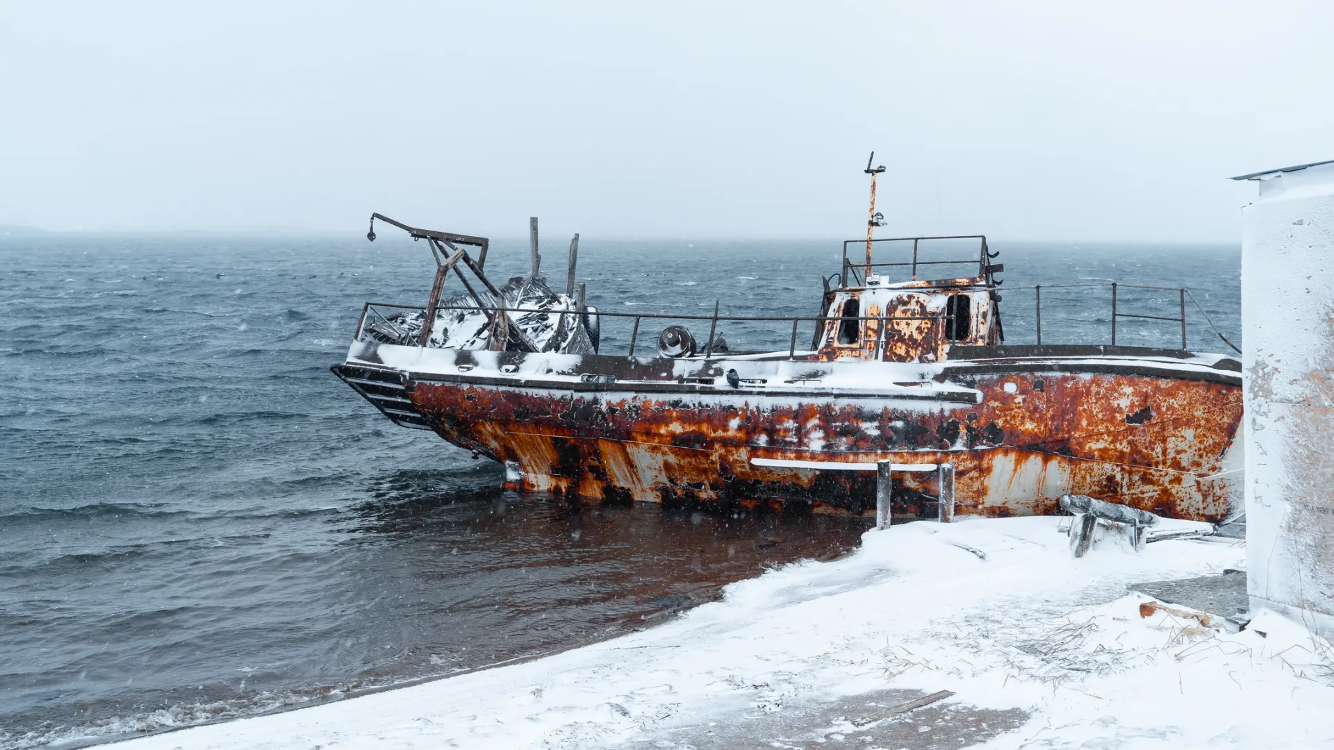 Фото: Dmitry Leonov / Shutterstock / Fotodom