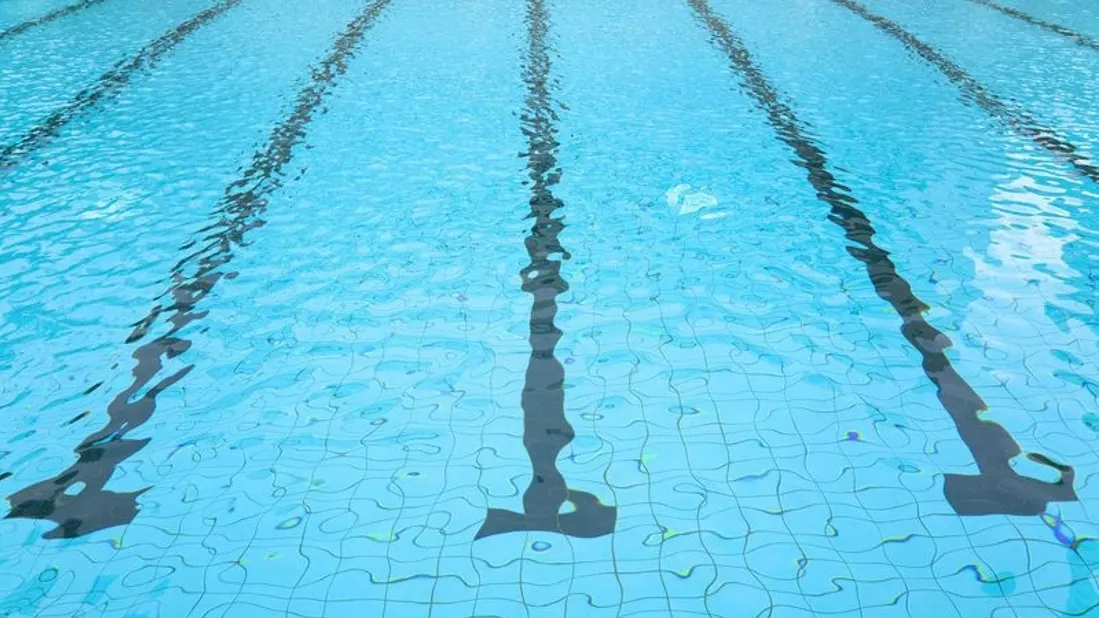 Фото: Tom Wang / Shutterstock / Fotodom