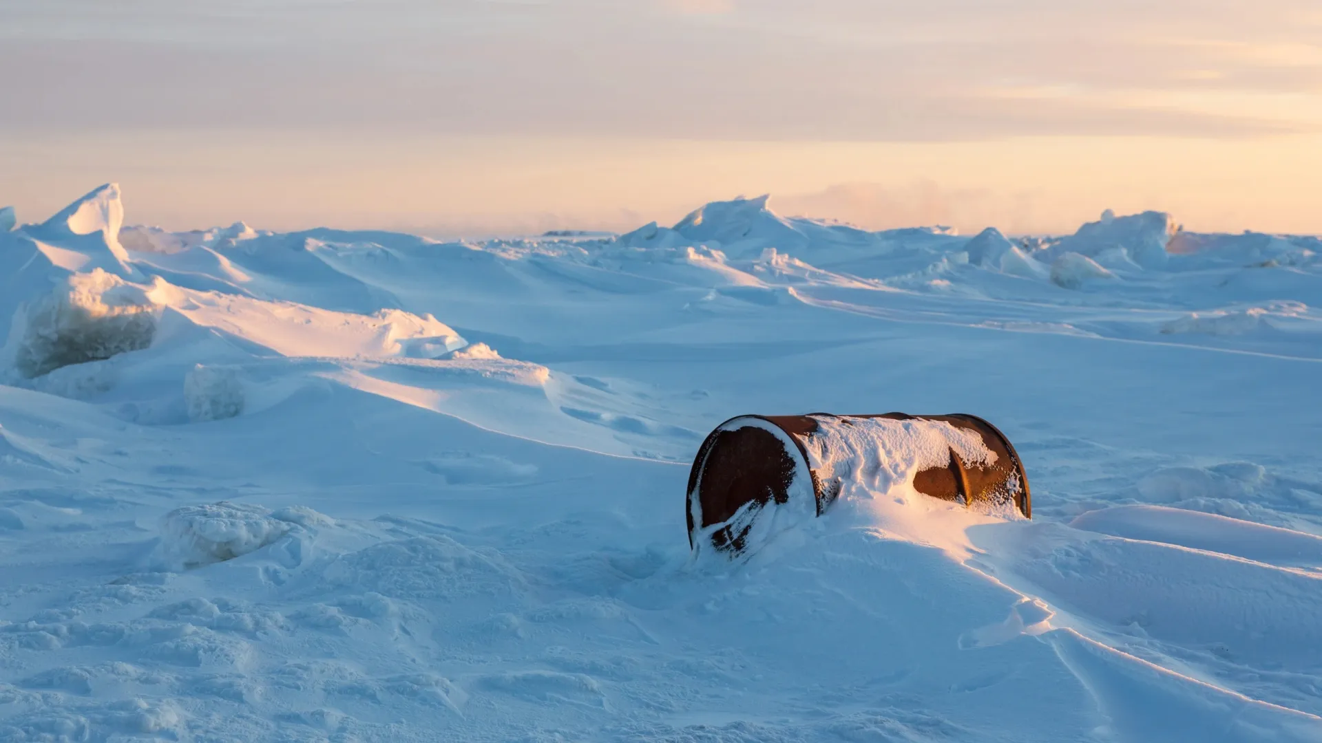 Фото: Andrei Stepanov / Shutterstock / Fotodom