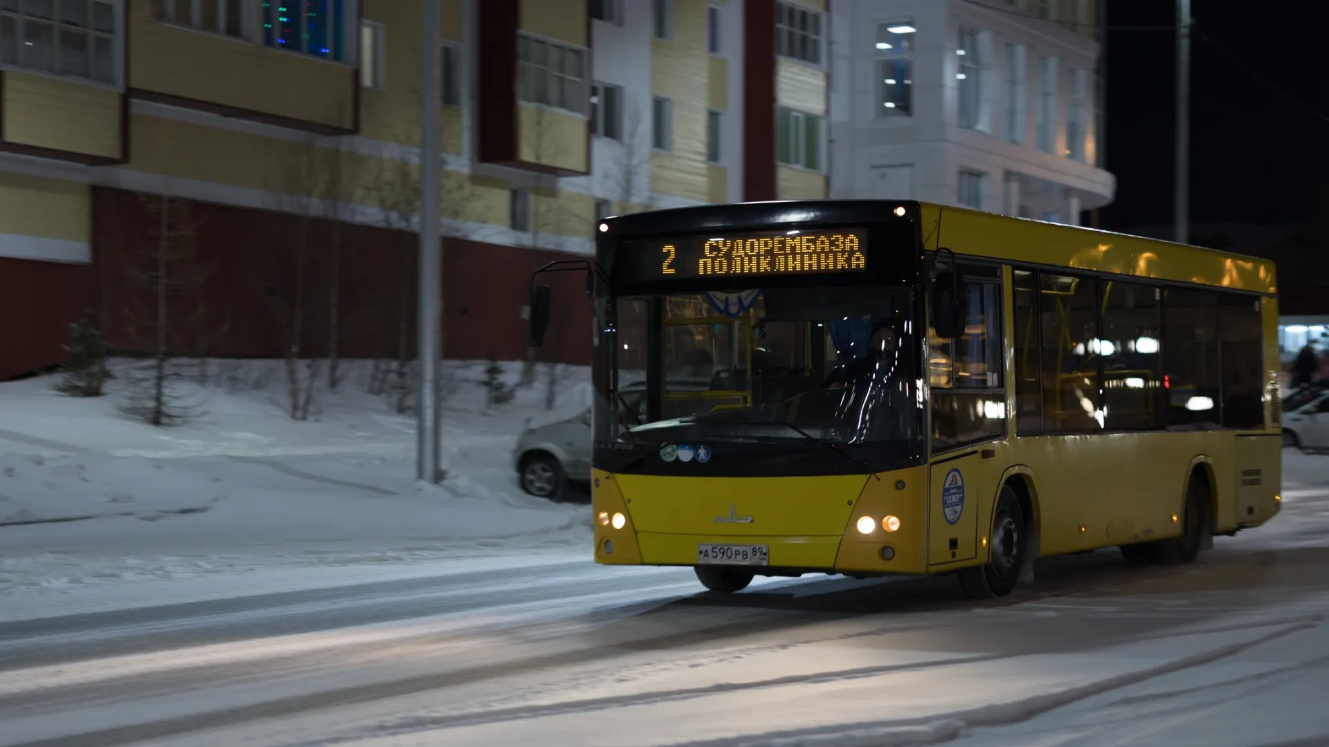 Фото: Юлия Чудинова / «Ямал-Медиа»
