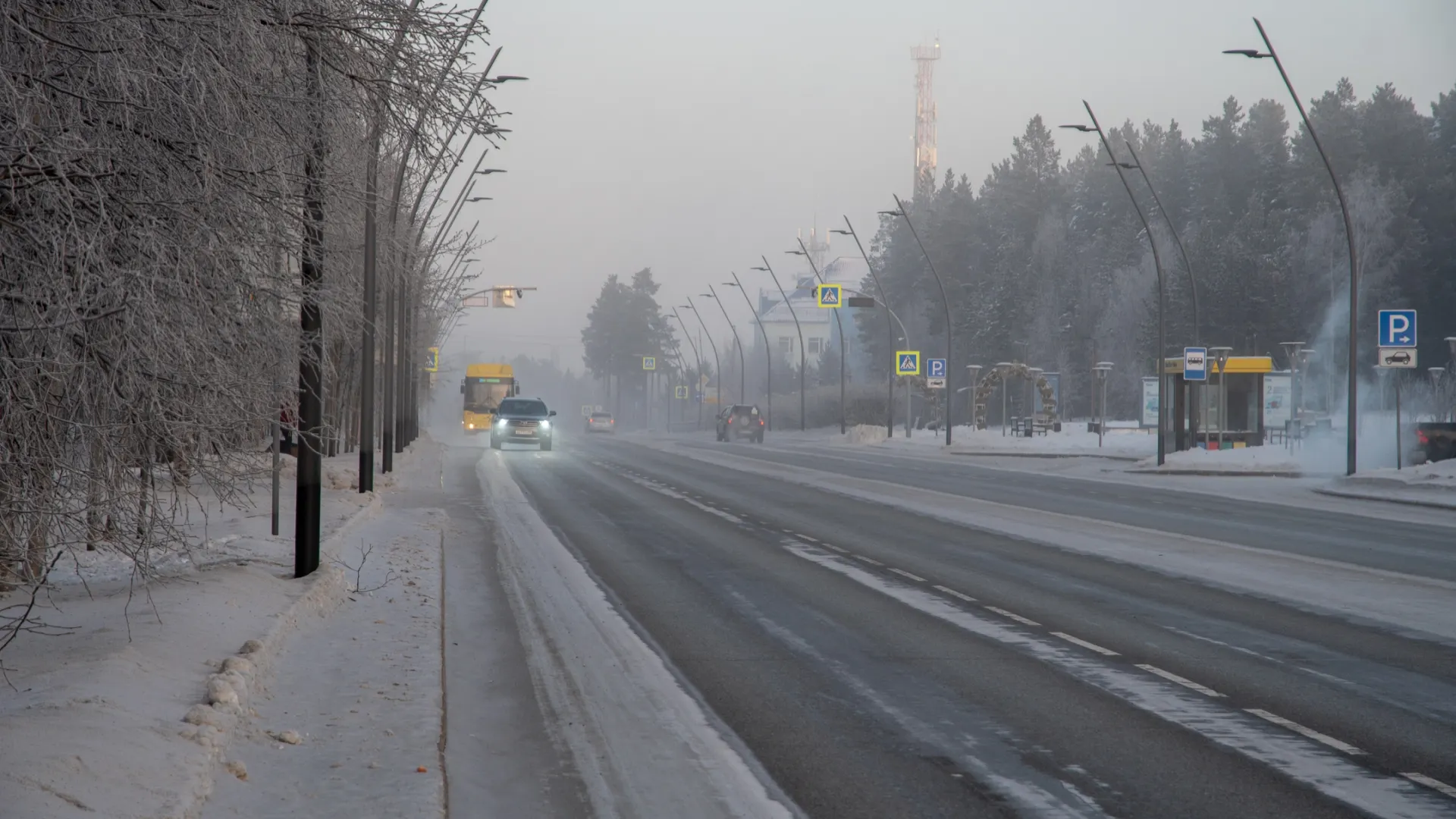 Фото: Юрий Здебский / «Ямал-Медиа»