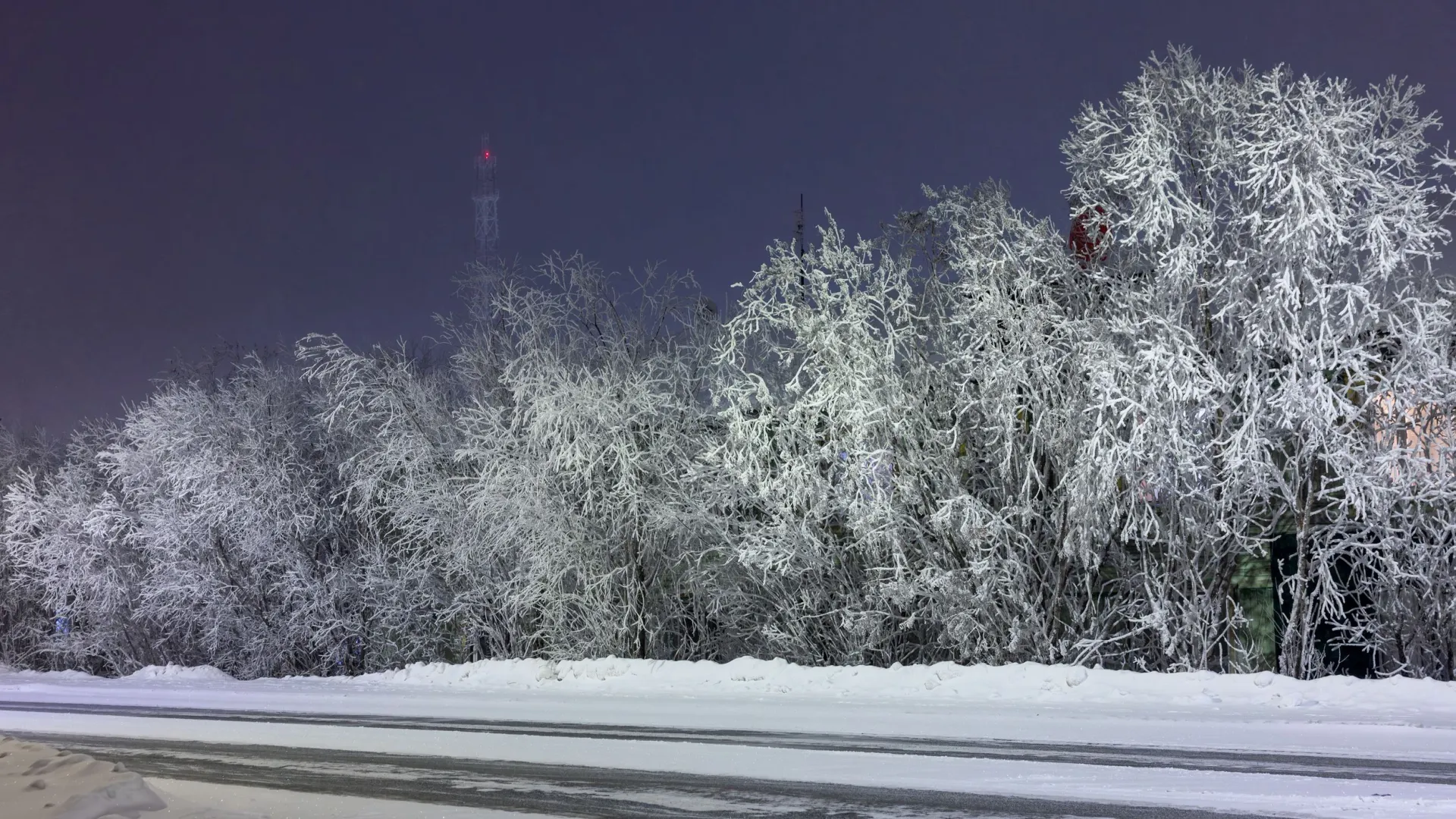 Фото: Федор Воронов / «Ямал-Медиа»