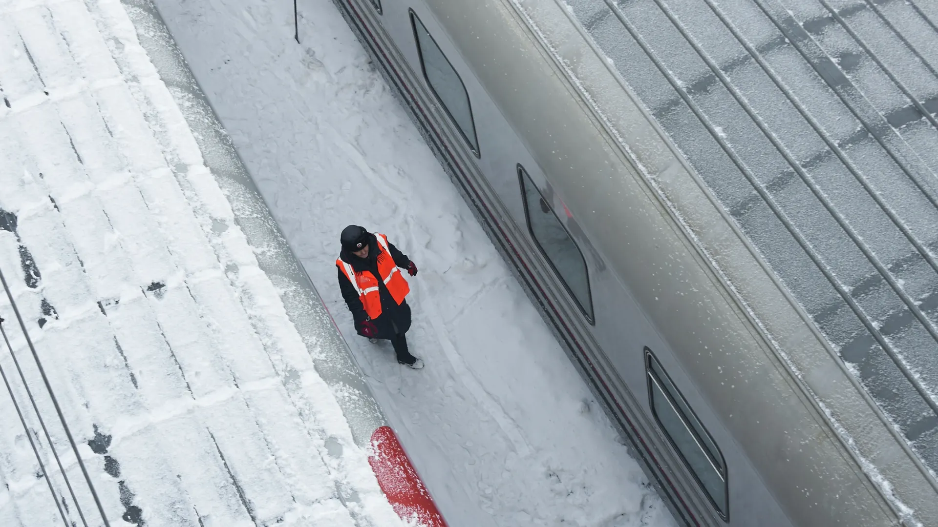 Фото: Mikhail Leonov / Shutterstock / Fotodom