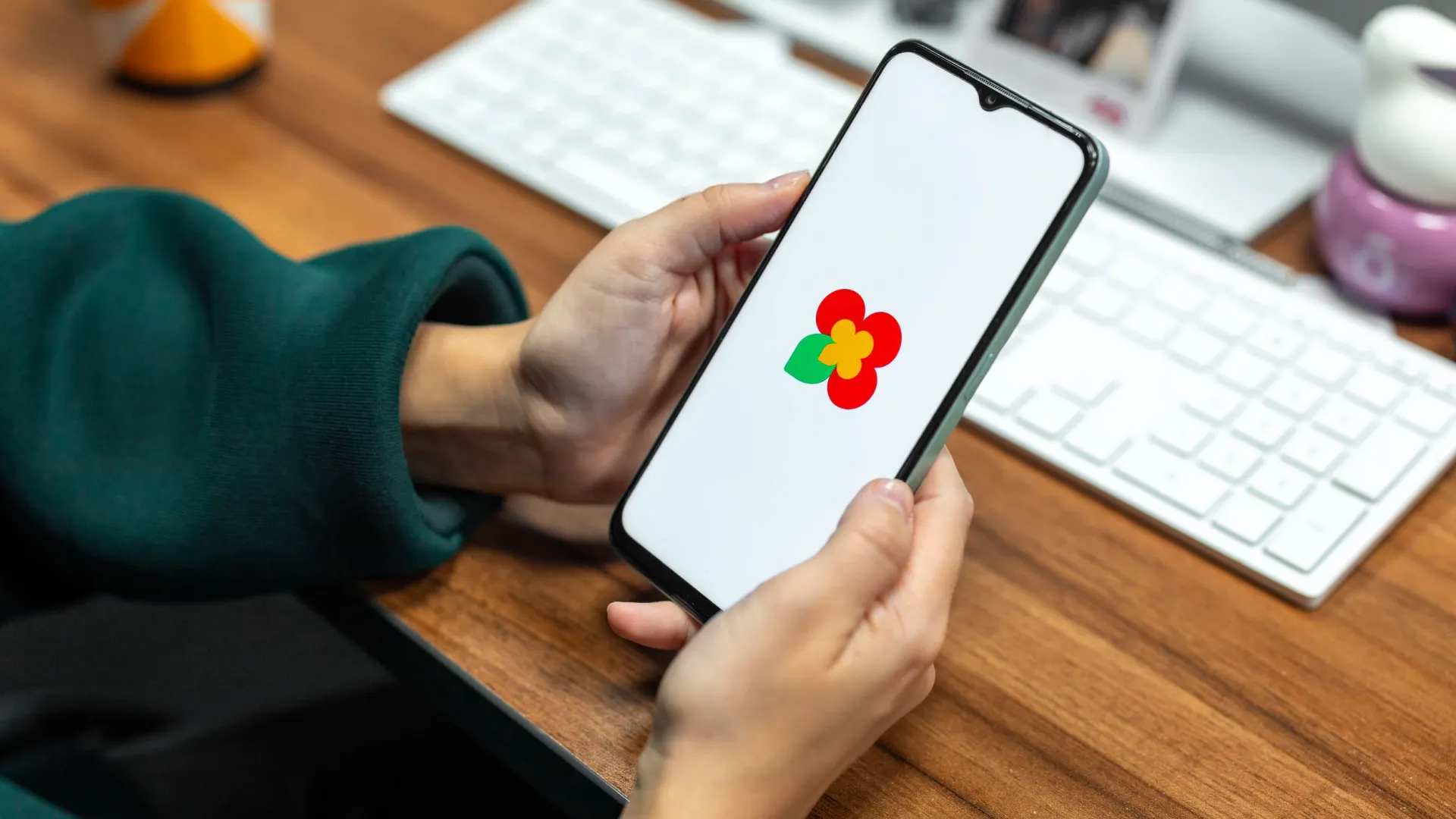 Фото: Сергей Зубков / «Ямал-Медиа»