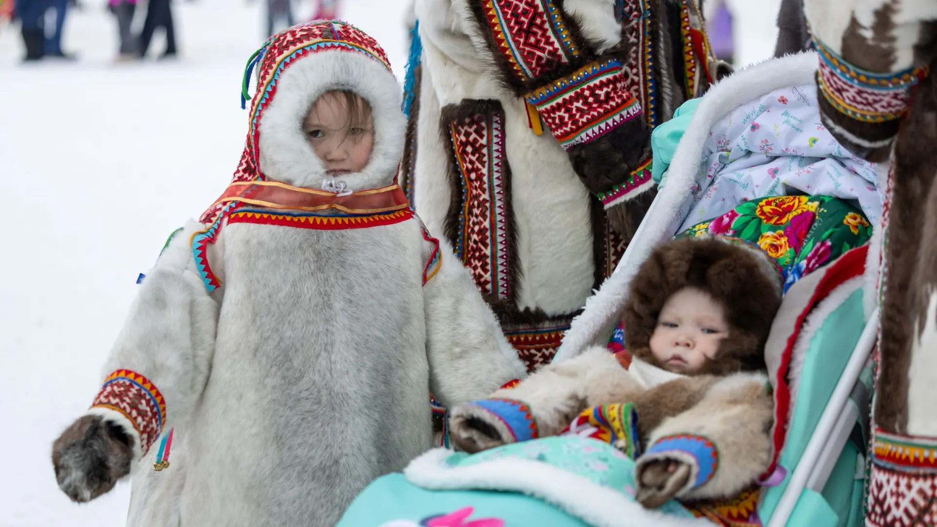 Фото: Александр Чирва / «Ямал-Медиа»