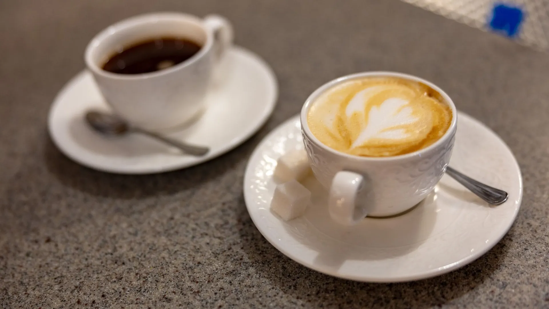 Фото: Александр Чирва / «Ямал-Медиа»