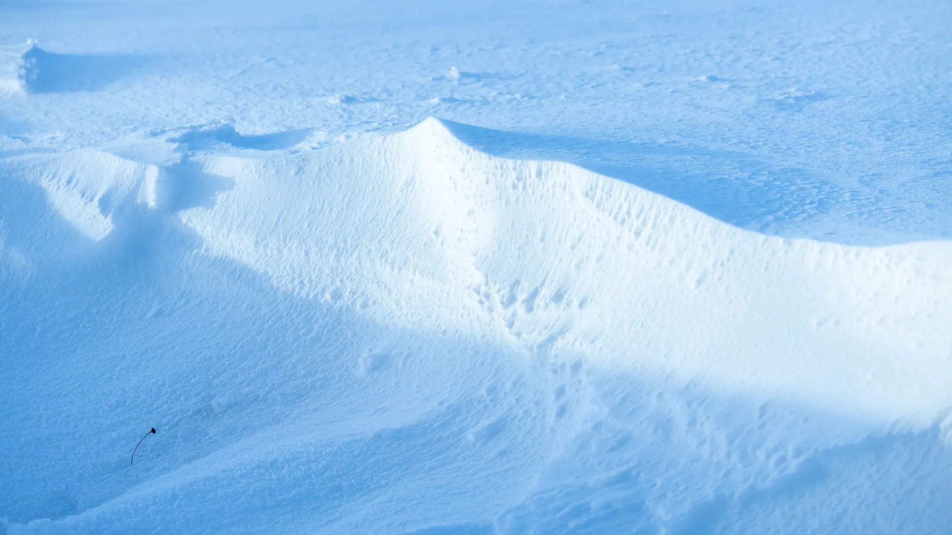 Фото: Федор Воронов / «Ямал-Медиа»