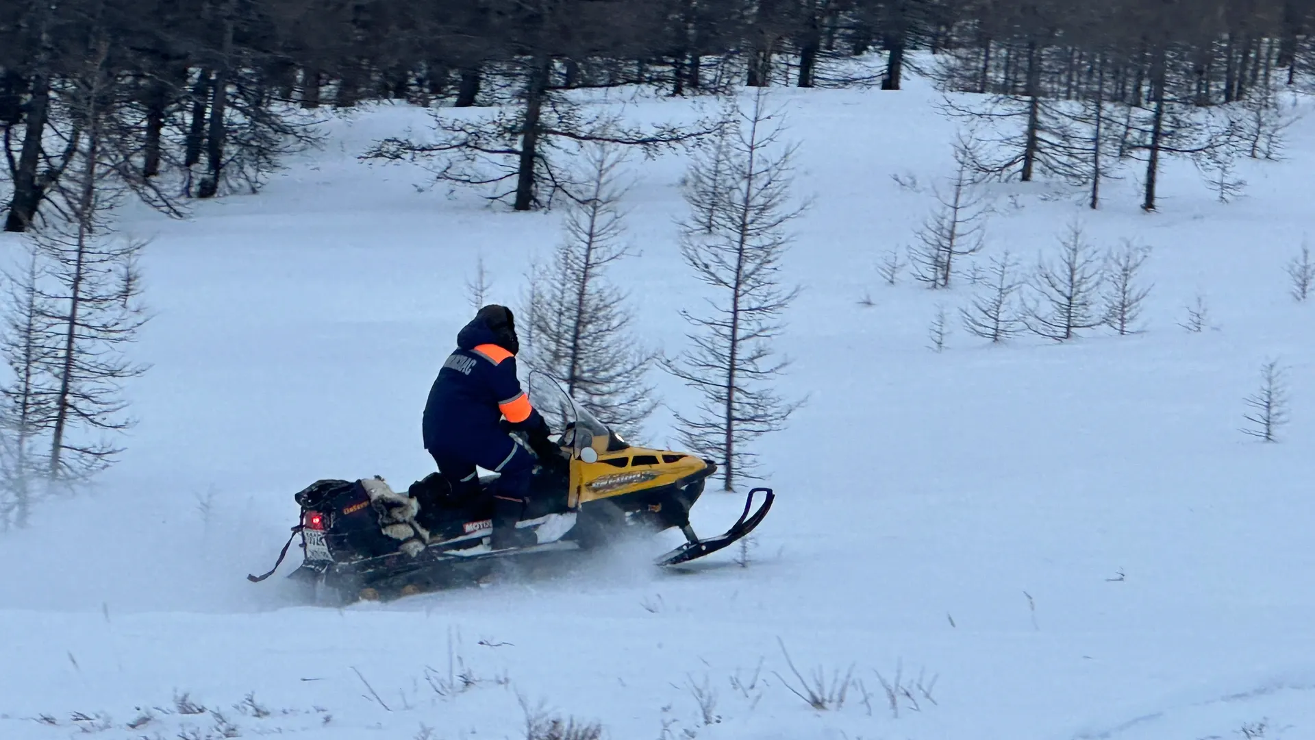 Фото: Вера Дронзикова / «Ямал-Медиа»