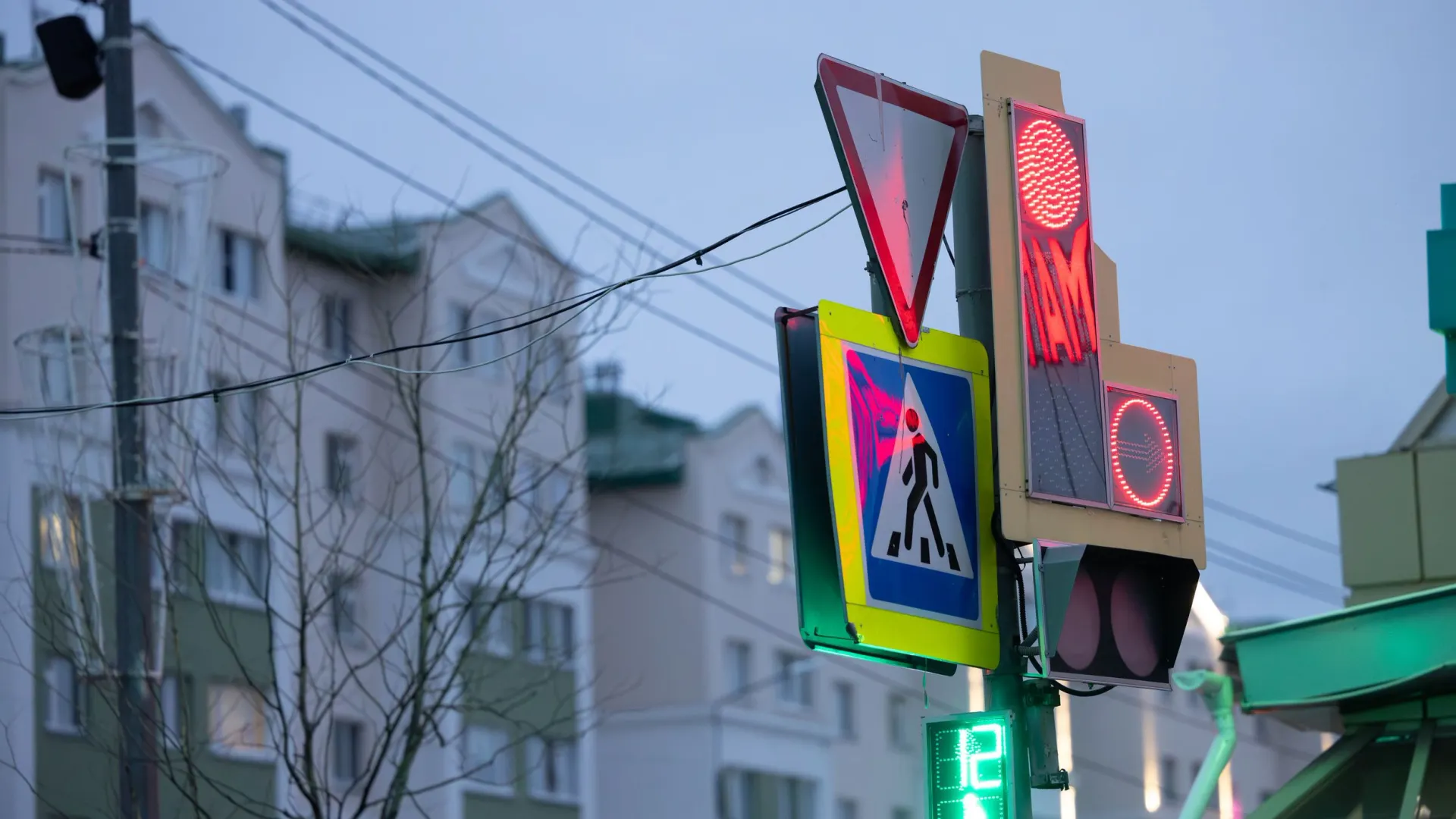 Фото: Федор Воронов / «Ямал-Медиа»