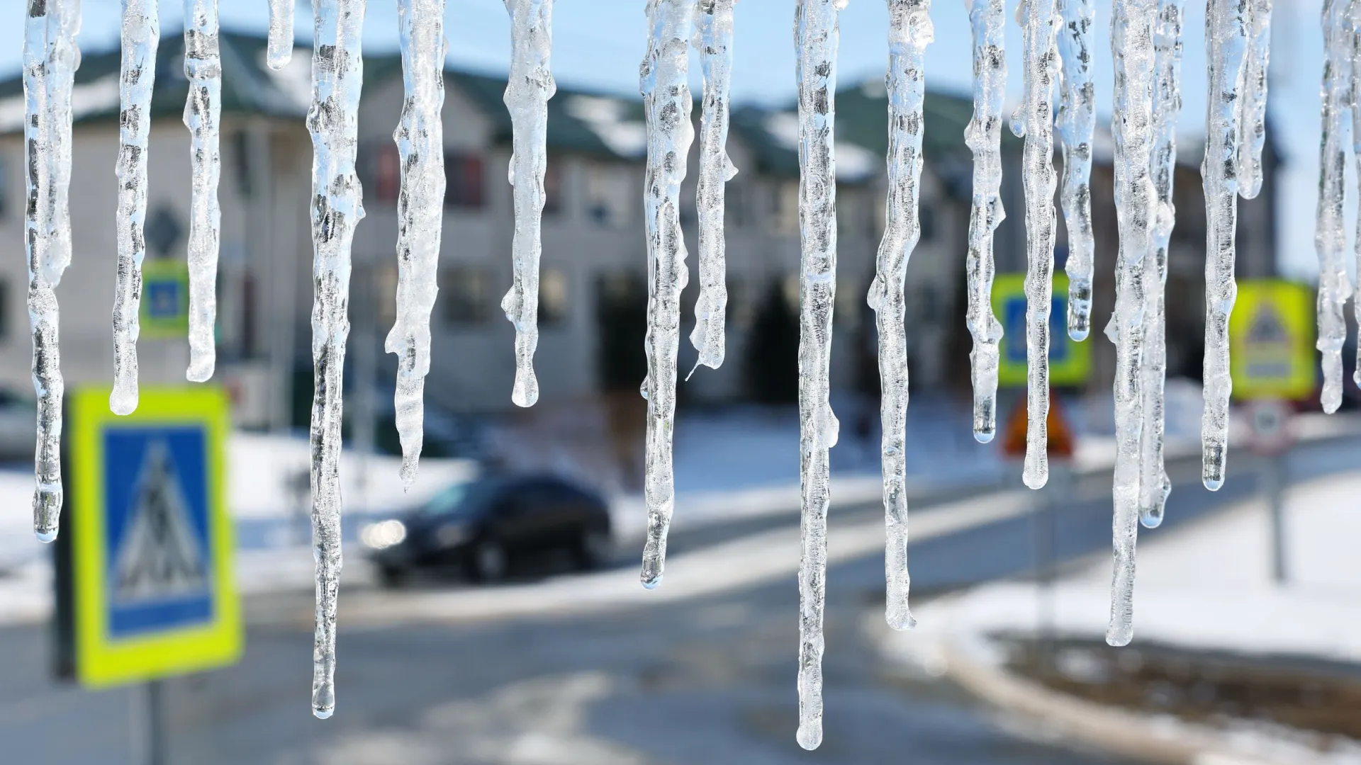 Фото: Андрей Ткачев / «Ямал-Медиа»