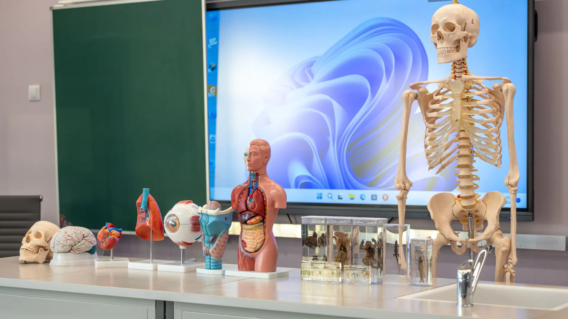 Фото: Федор Воронов / «Ямал-Медиа»