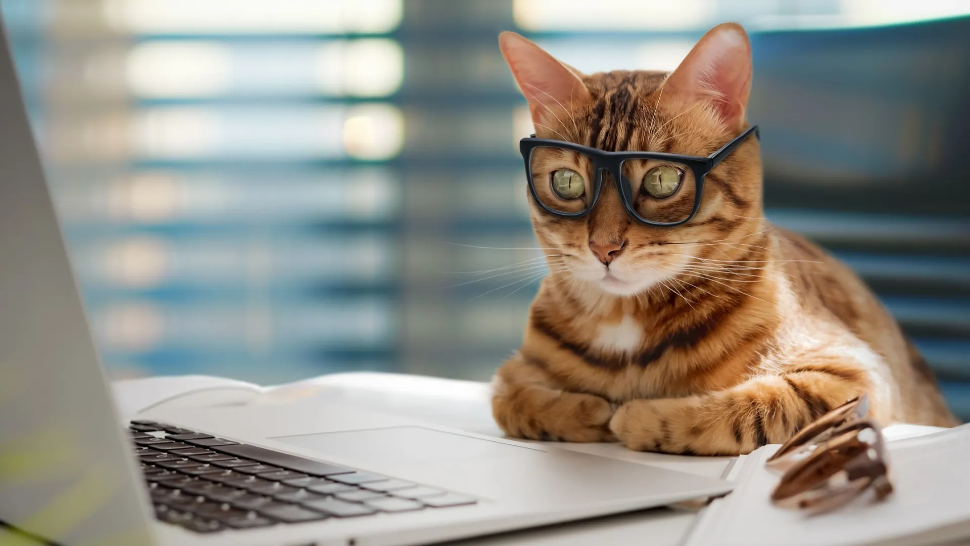 Фото: Svetlana Rey / Shutterstock / Fotodom