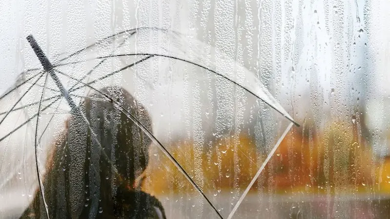 Автор: FTiare / Shutterstock / Fotodom