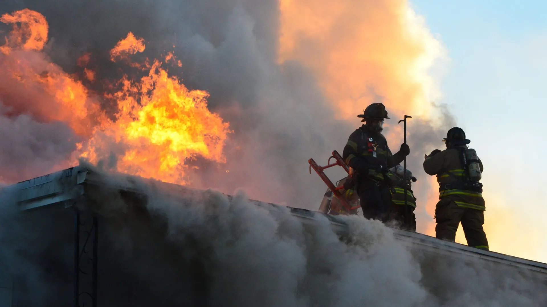 Фото: Jck5055/Shutterstock/Fotodom