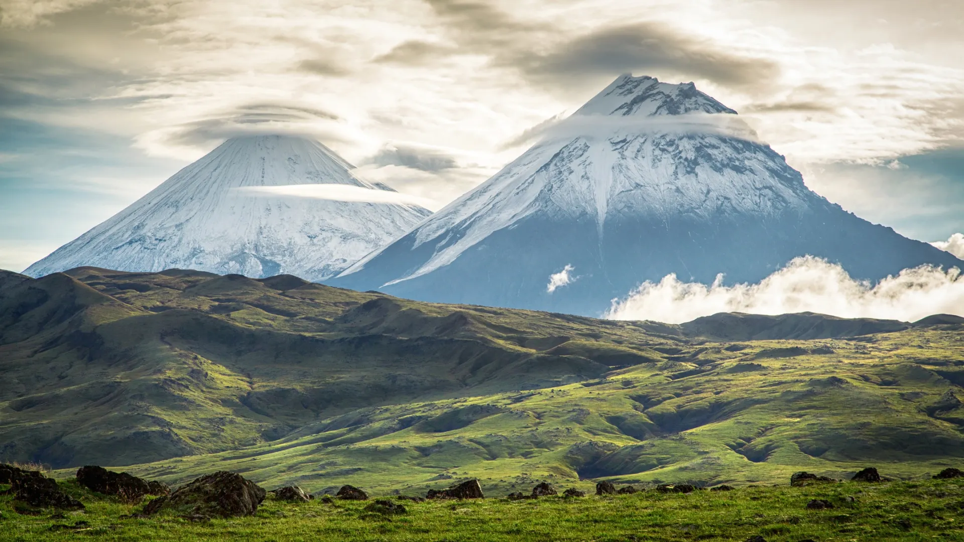 Фото: Vita Fortuna / Shutterstock / Fotodom