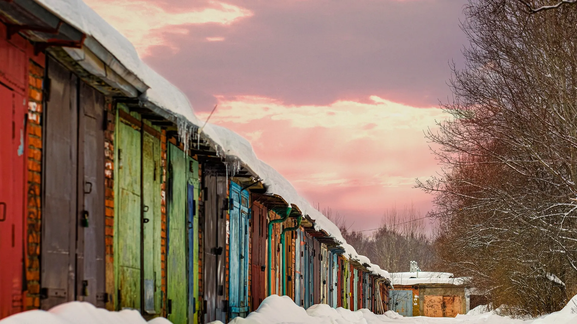 Фото: Vereshchagin Dmitry / Shutterstock / Fotodom