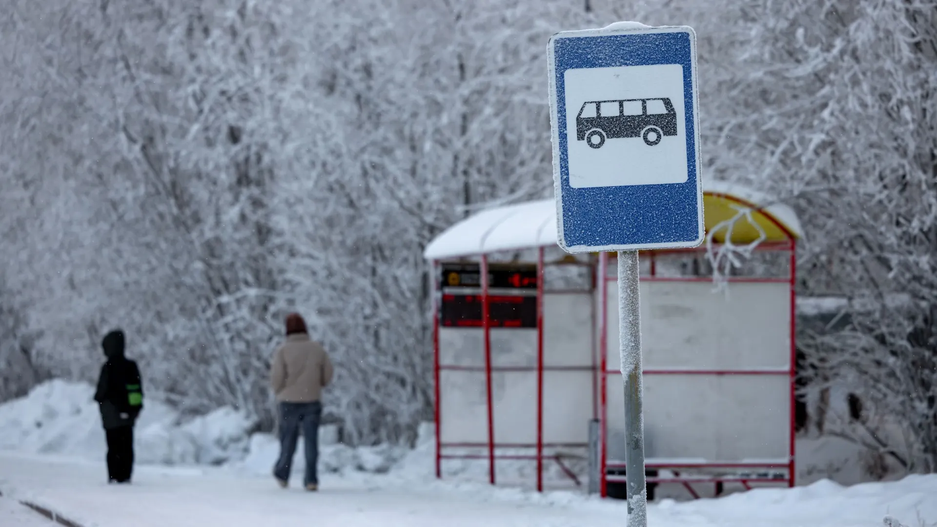 Фото: Сергей Зубков / «Ямал-Медиа»