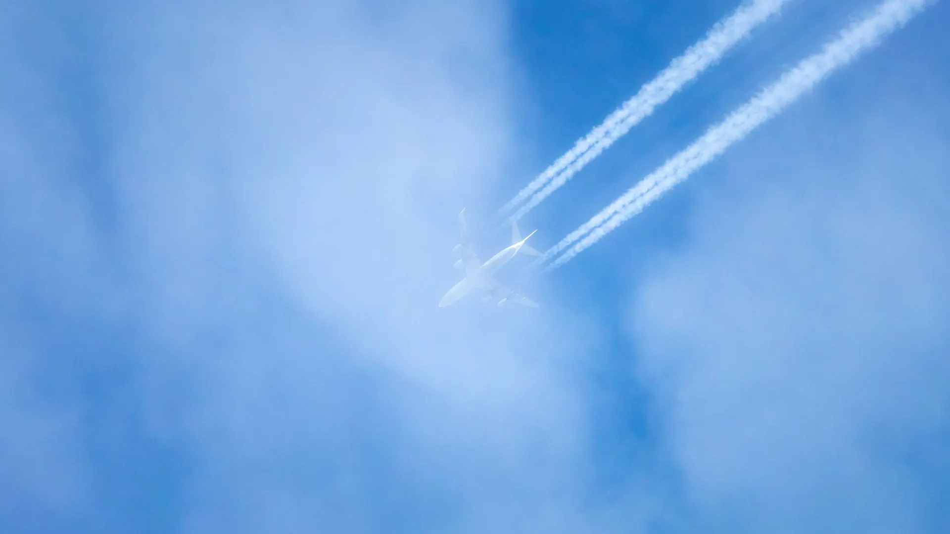 Фото: Федор Воронов / «Ямал-Медиа»