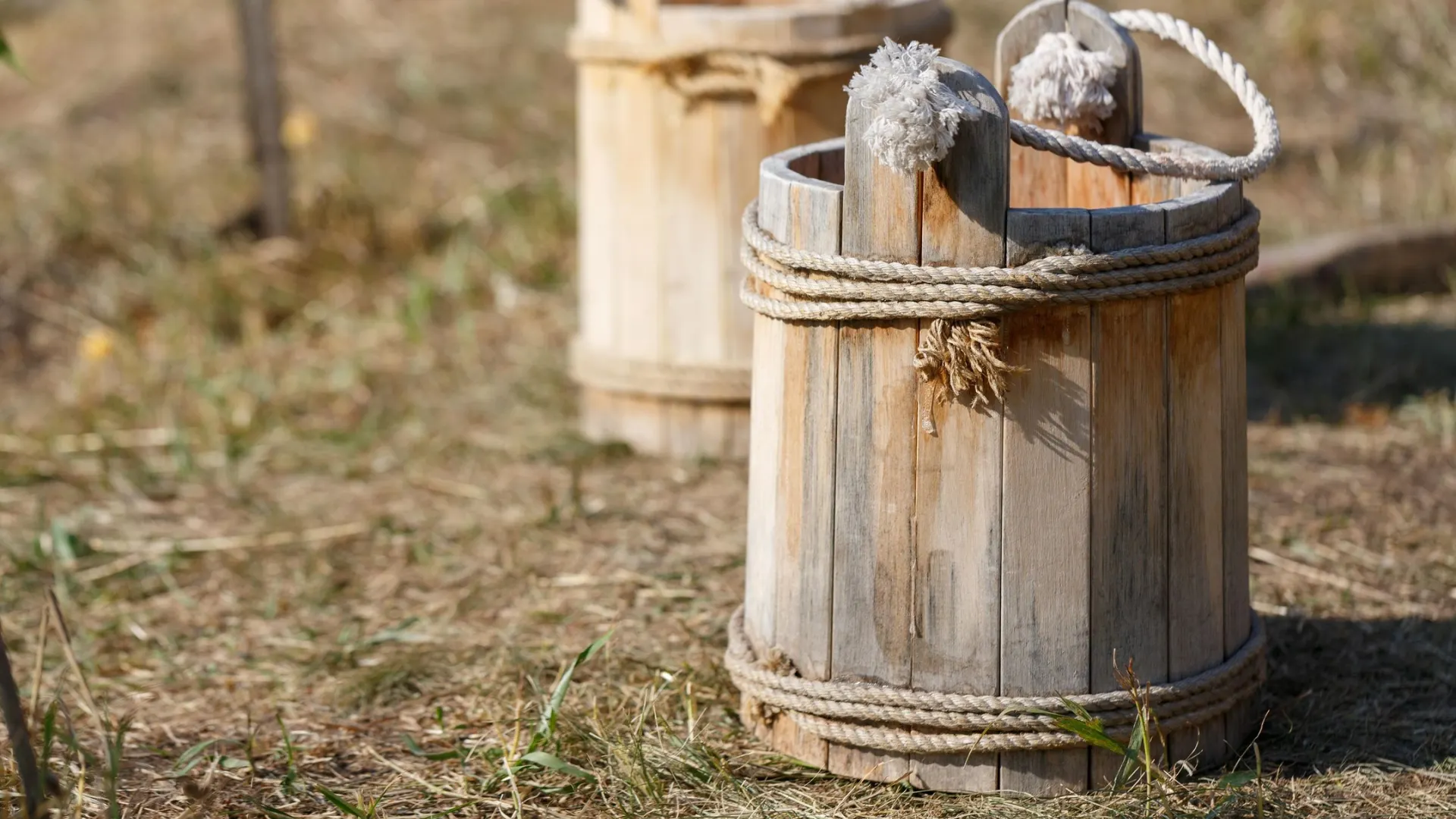 Фото: n.k.junky/Shutterstock/Fotodom