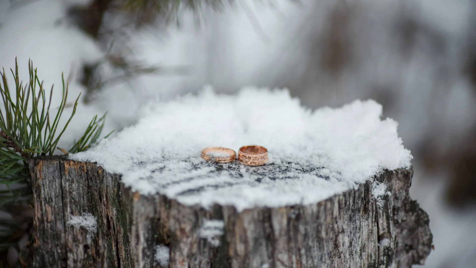 Фото: Wedding and lifestyle / Shutterstock / Fotodom