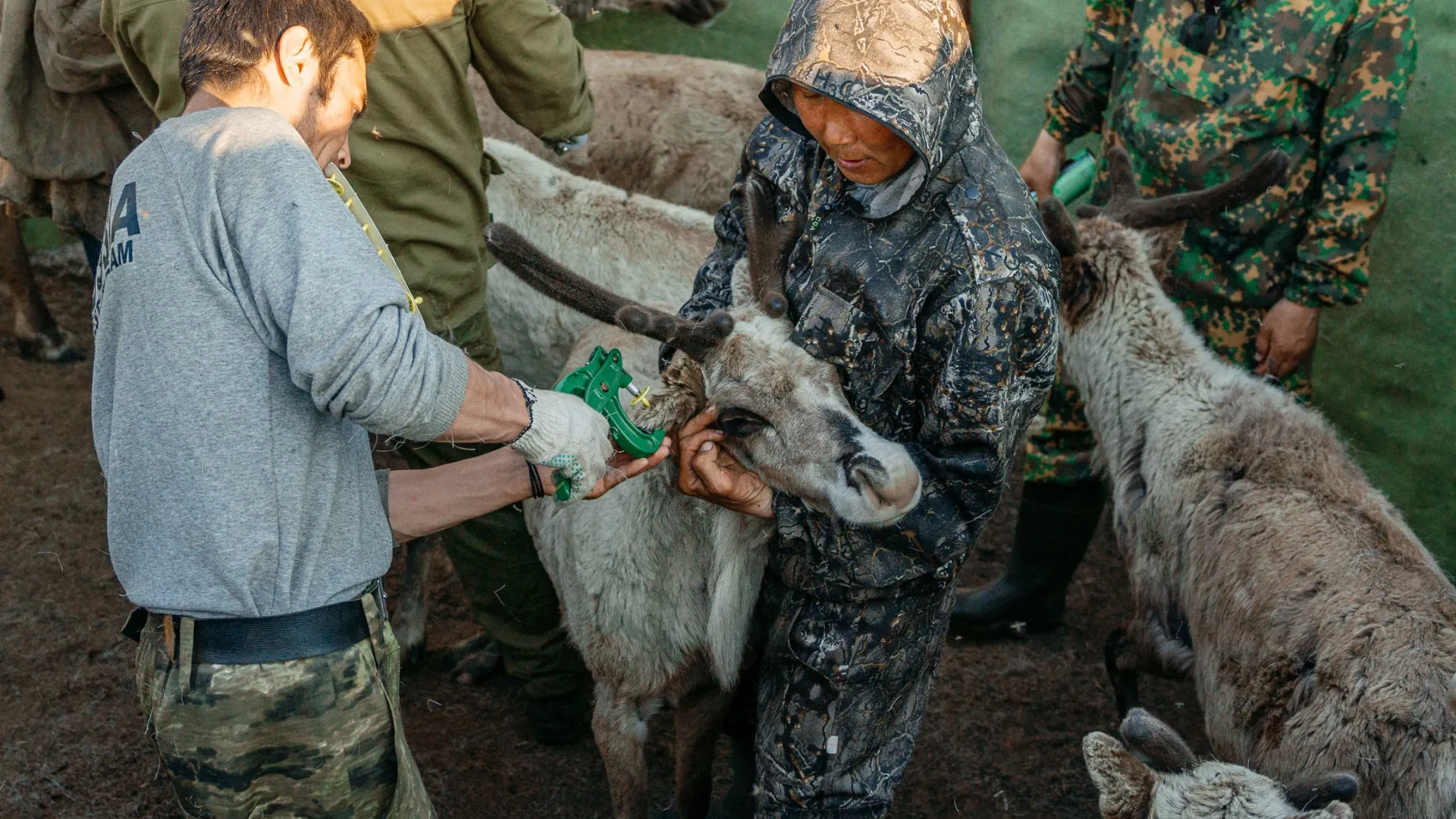 Фото: Юлия Чудинова / «Ямал-Медиа»