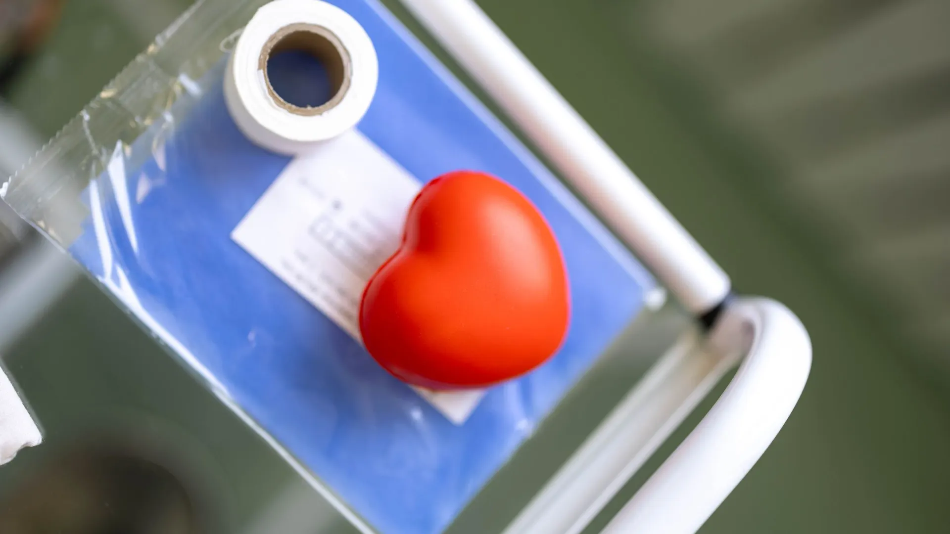 Фото: Юлия Чудинова / «Ямал-Медиа»