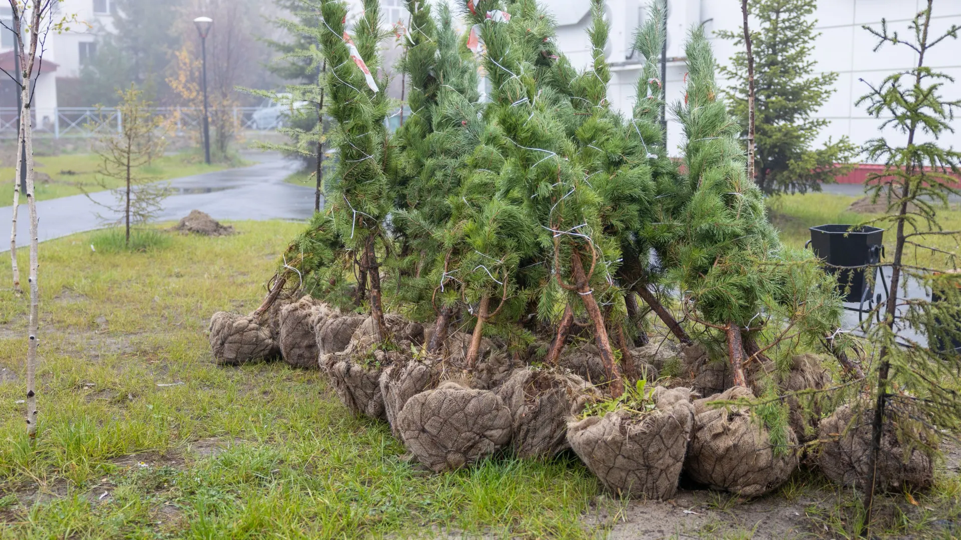 Фото: Федор Воронов / «Ямал-Медиа»