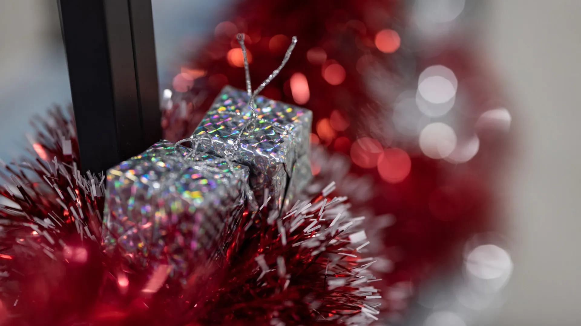 Фото: Сергей Зубков / «Ямал-Медиа»