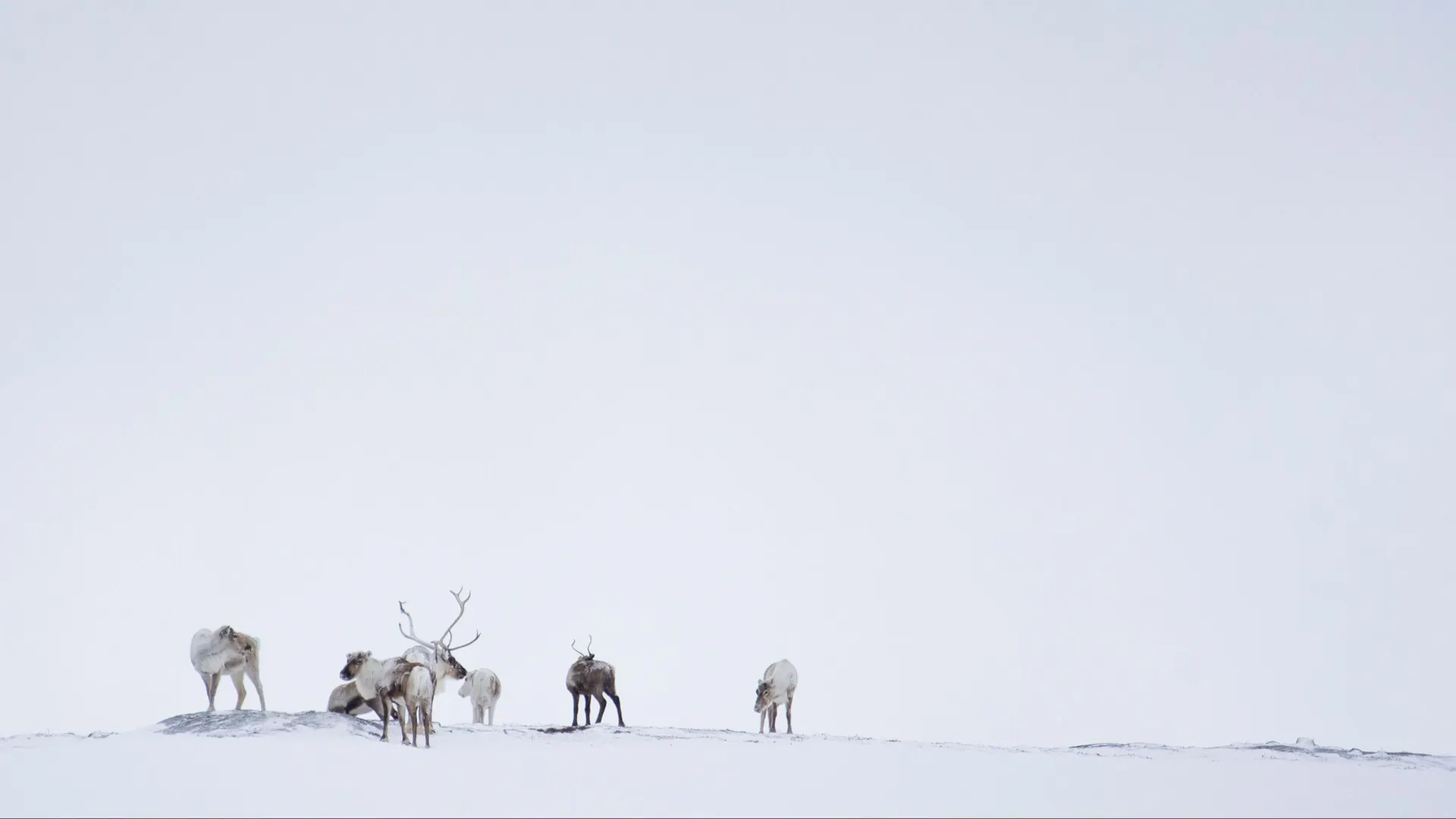 Фото: Kristijan Barbic / Shutterstock / Fotodom