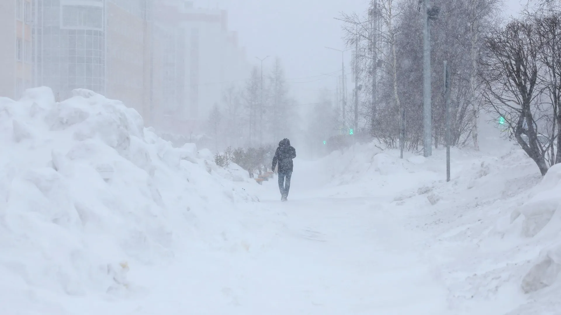 Фото: Андрей Ткачев / «Ямал-Медиа»