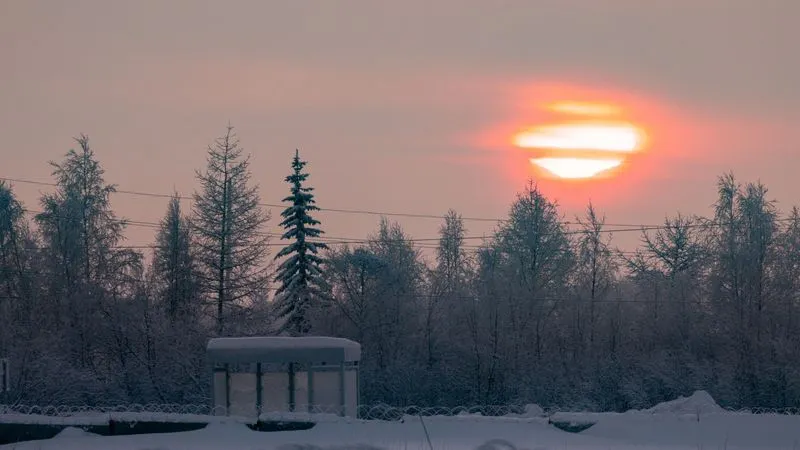 Фото: Сергей Зубков / «Ямал-Медиа»