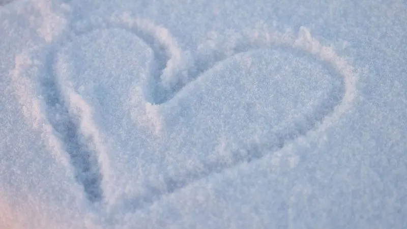 Фото: Федор Воронов / «Ямал-Медиа»