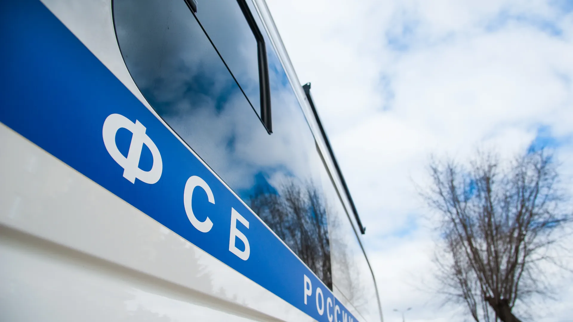 Фото: SGr /Shutterstock/Fotodom