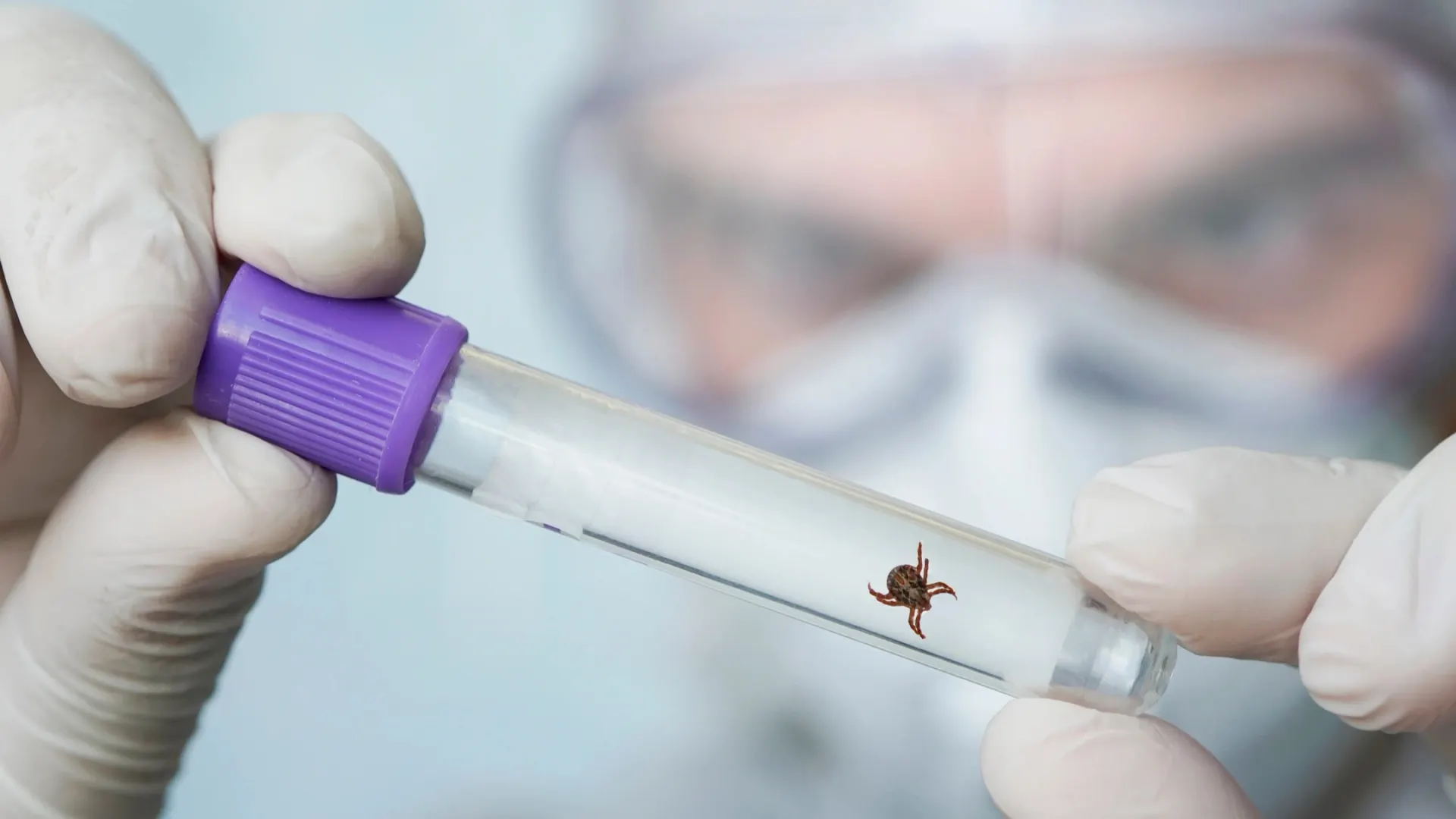 Фото: Melnikov Dmitriy / Shutterstock / Fotodom