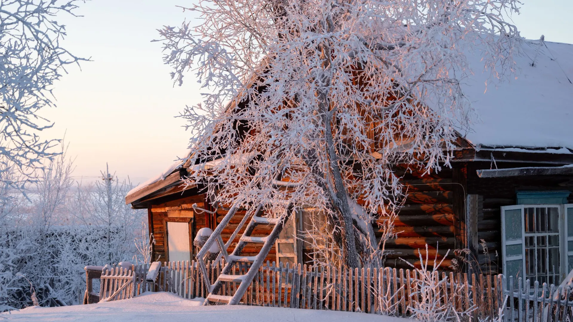 Фото: Федор Воронов / «Ямал-Медиа»