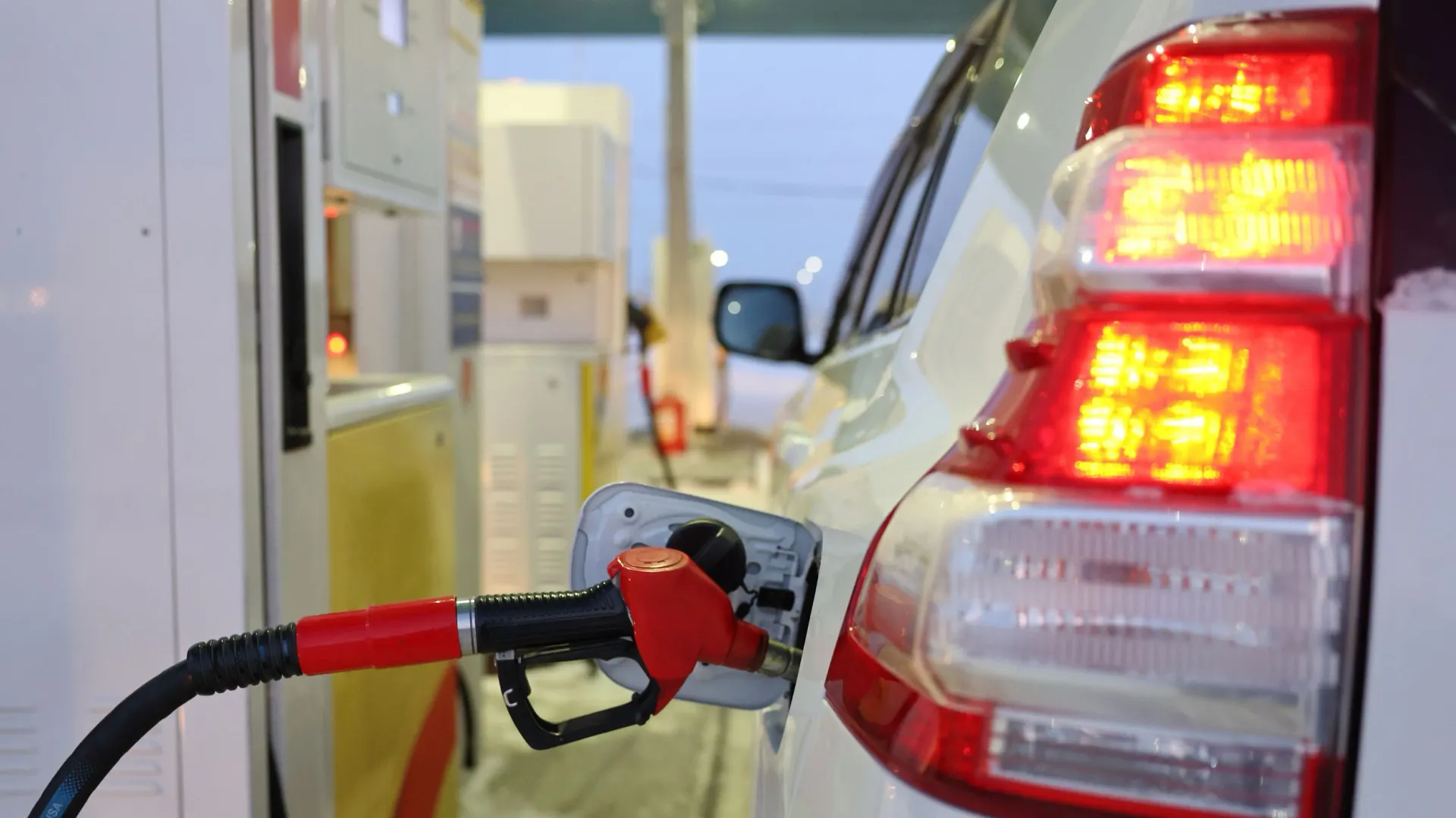 Фото: Андрей Ткачев / «Ямал-Медиа»