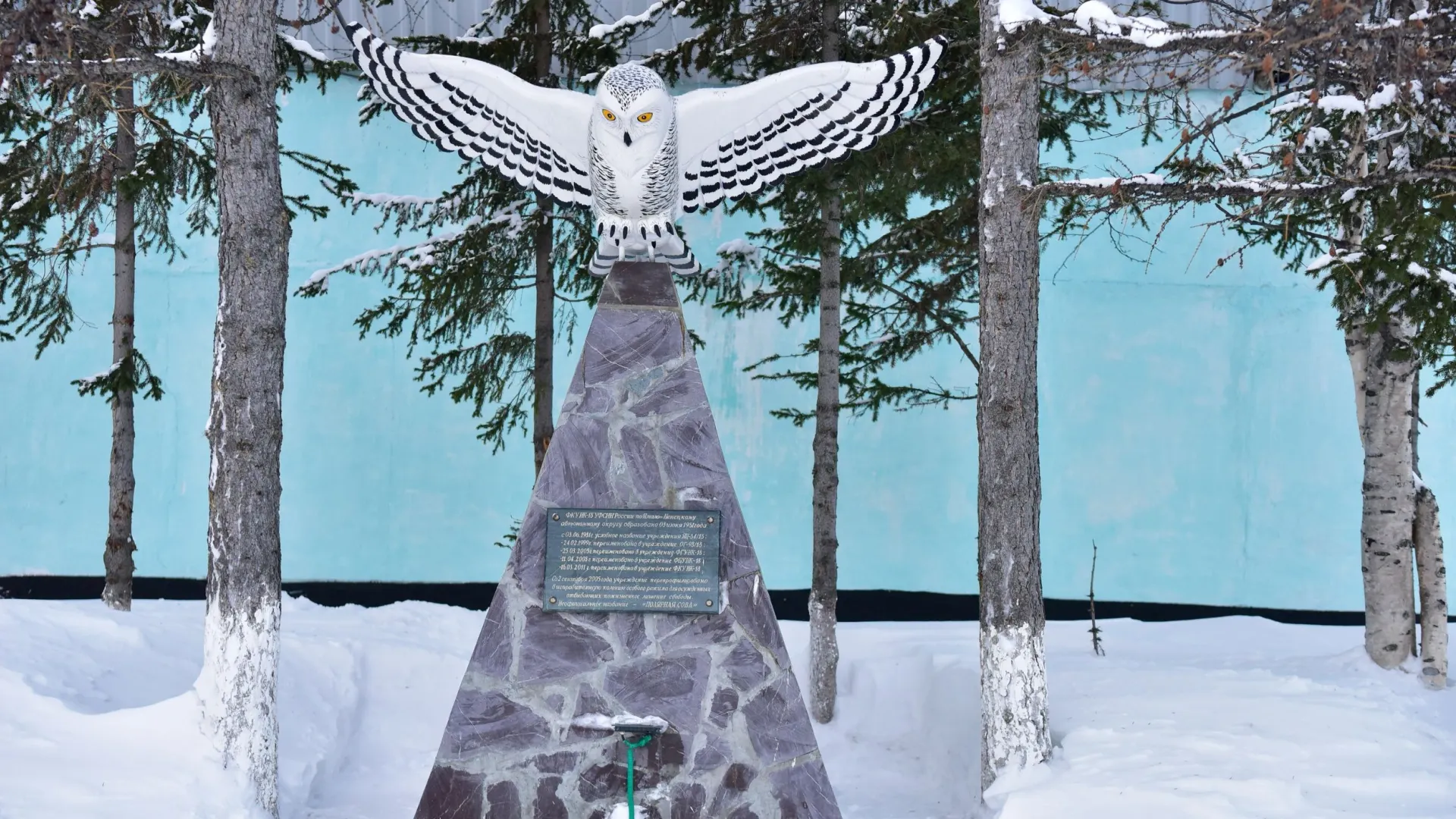 Фото: Андрей Ткачев / «Ямал-Медиа»