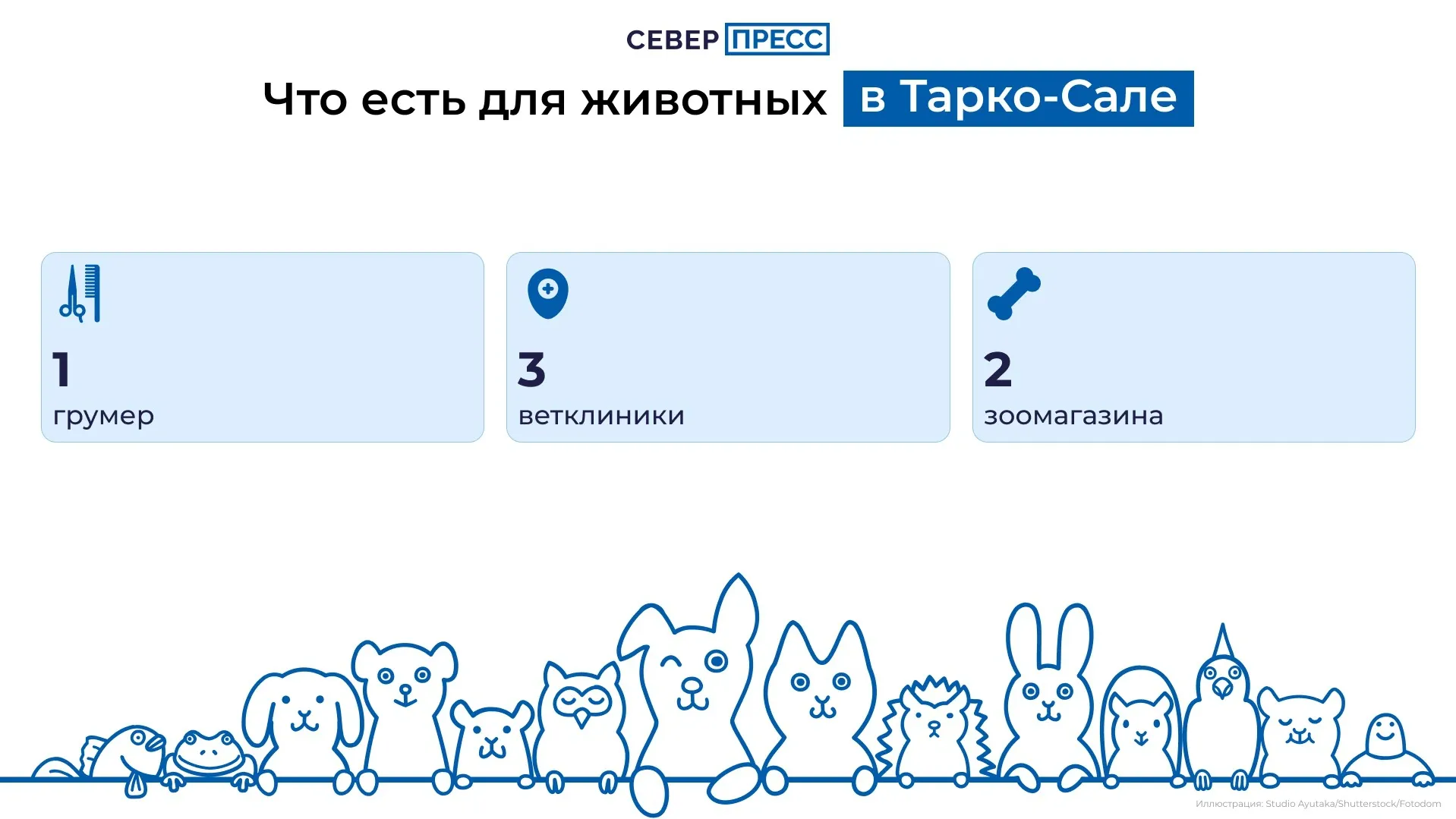 Фото: Татьяна Бояринцева / «Ямал-Медиа»