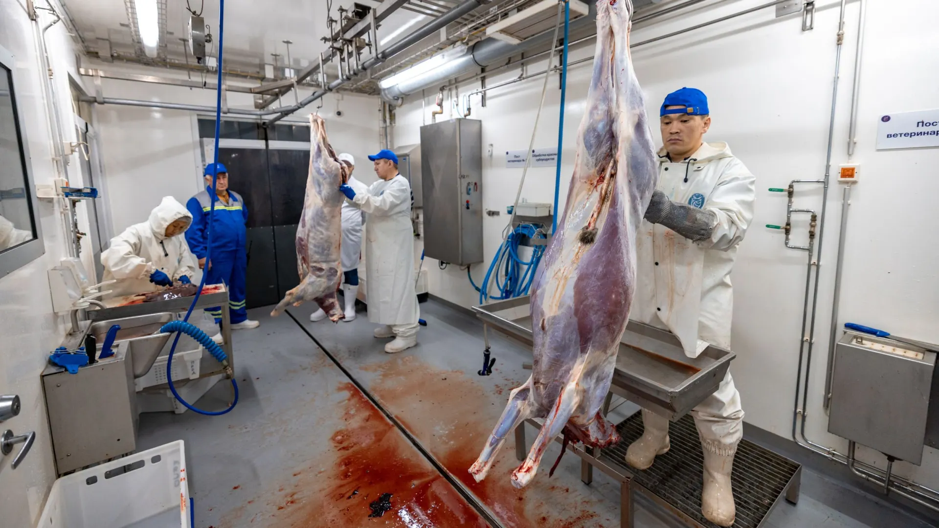 Фото: Сергей Зубков / «Ямал-Медиа»