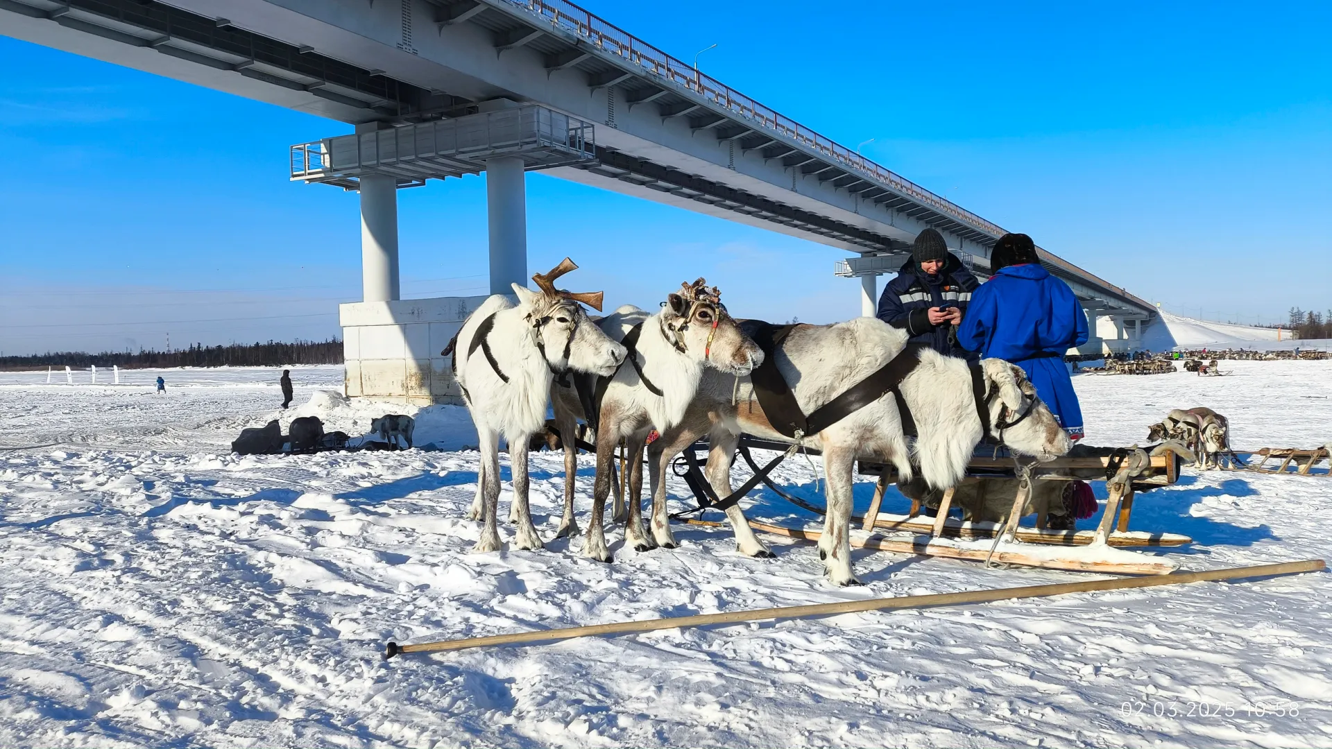 Фото: Федор Воронов / «Ямал-Медиа»