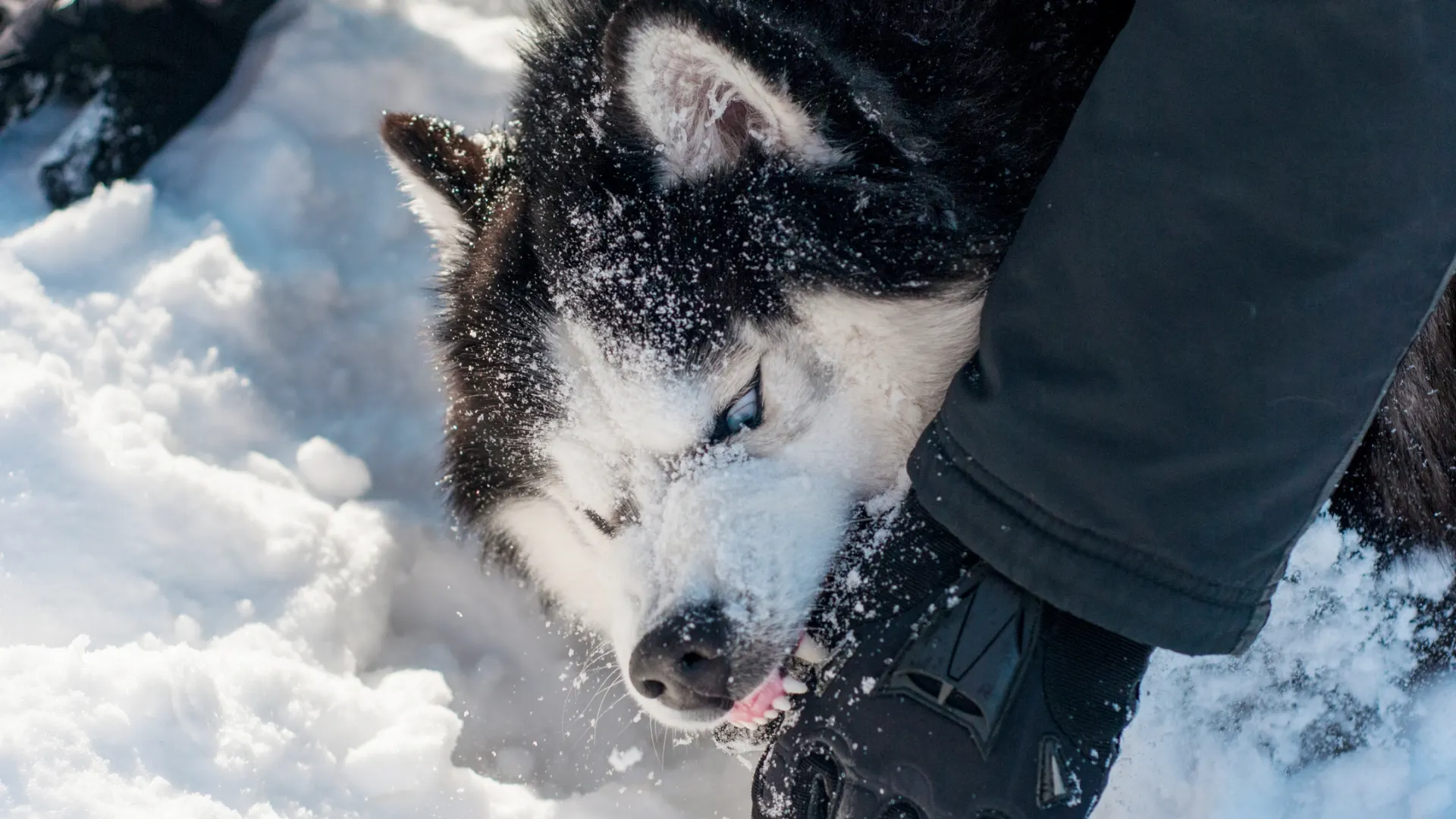 Фото: ketrinbell/Shutterstock/Fotodom