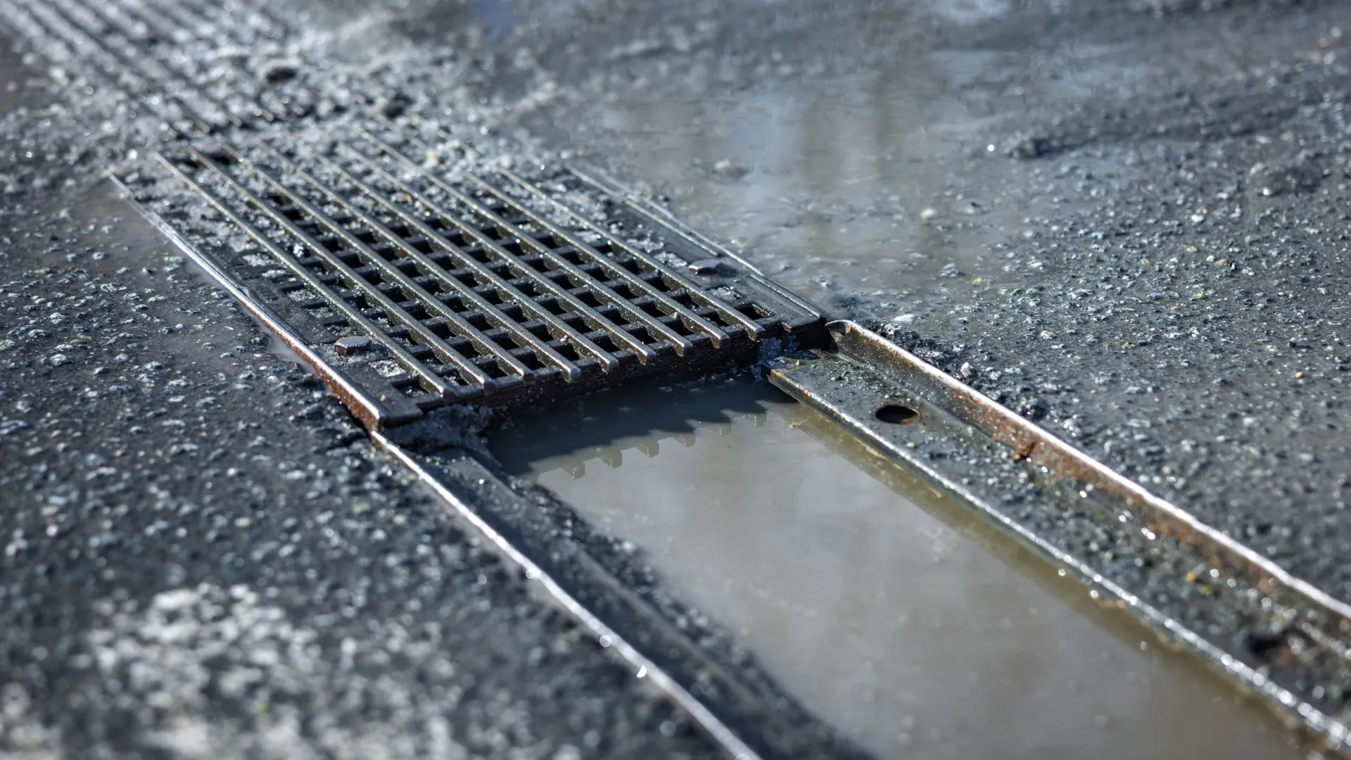 Фото: Федор Воронов / «Ямал-Медиа»