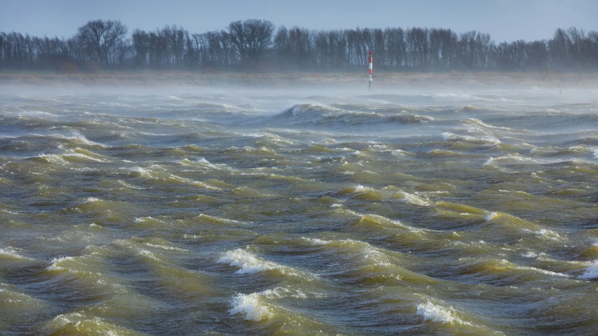 В ЯНАО проработают вопросы отправки спасателей в Оренбуржье. Фото: R. de Bruijn_Photography / Shutterstock / Fotodom