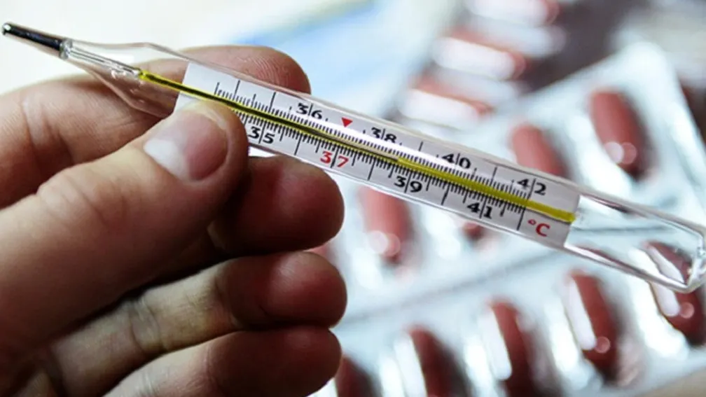 Фото shutterstock.com