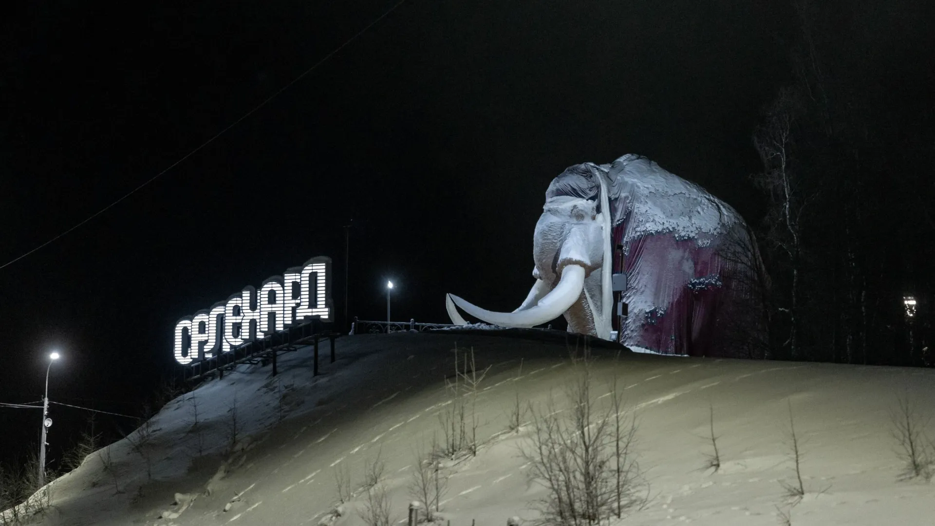 Фото: Андрей Ткачев / «Ямал-Медиа»