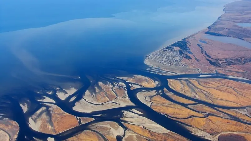 Фото: vk.com/clean_arctic