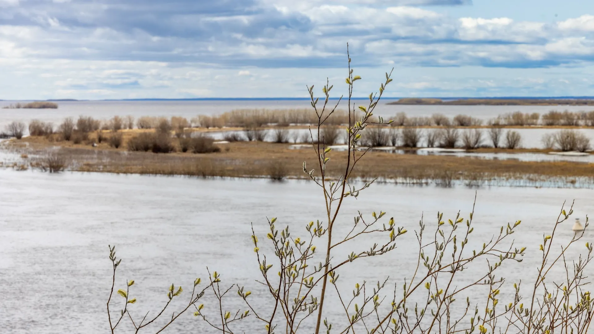 Исследования показывают, что качество воды в реках улучшилось. Фото: Федор Воронов / «Ямал-Медиа»