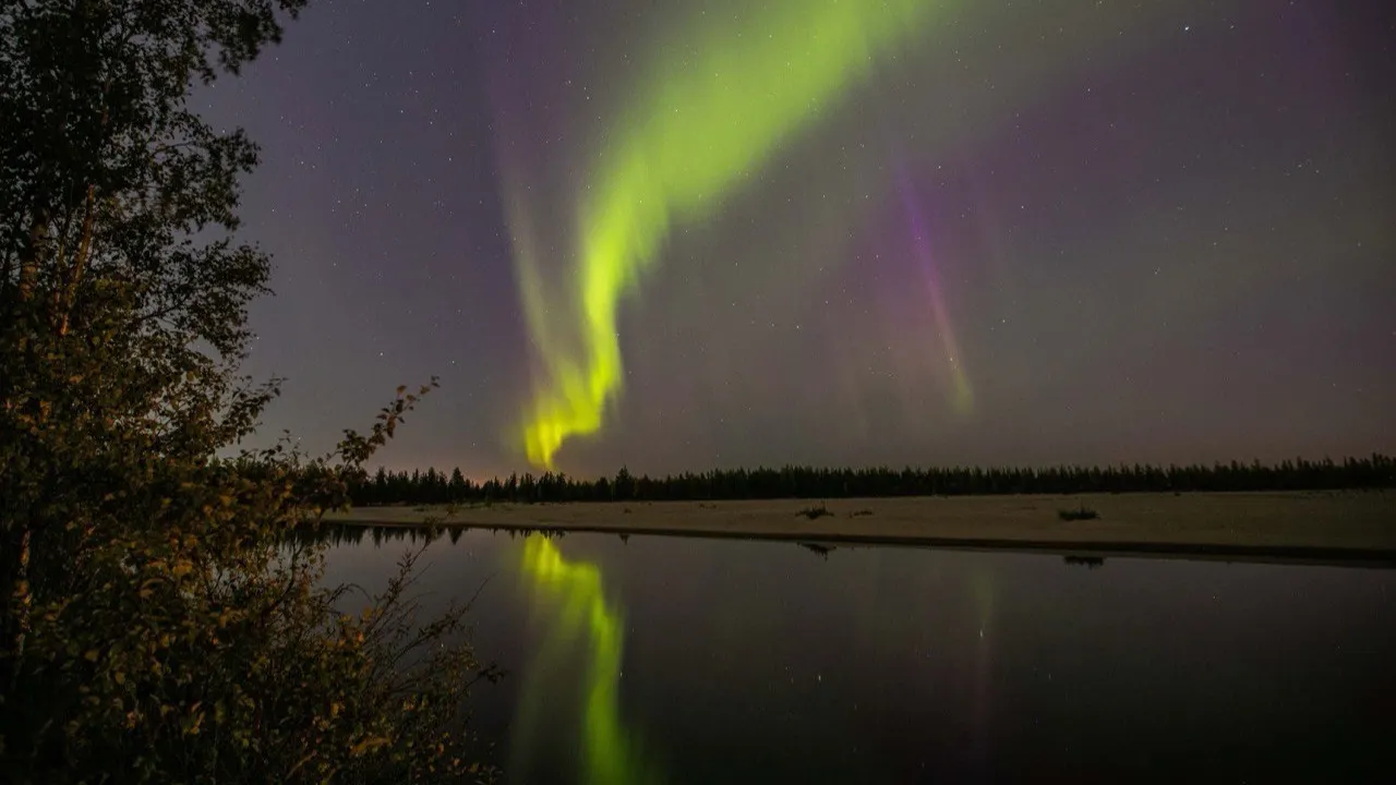 Фото: личный архив Олеси Ячушко 