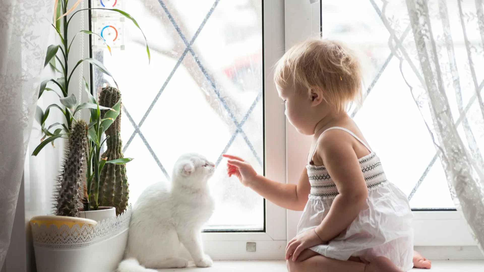 Фото: Natalia Lebedinskaia / Shutterstock / Fotodom
