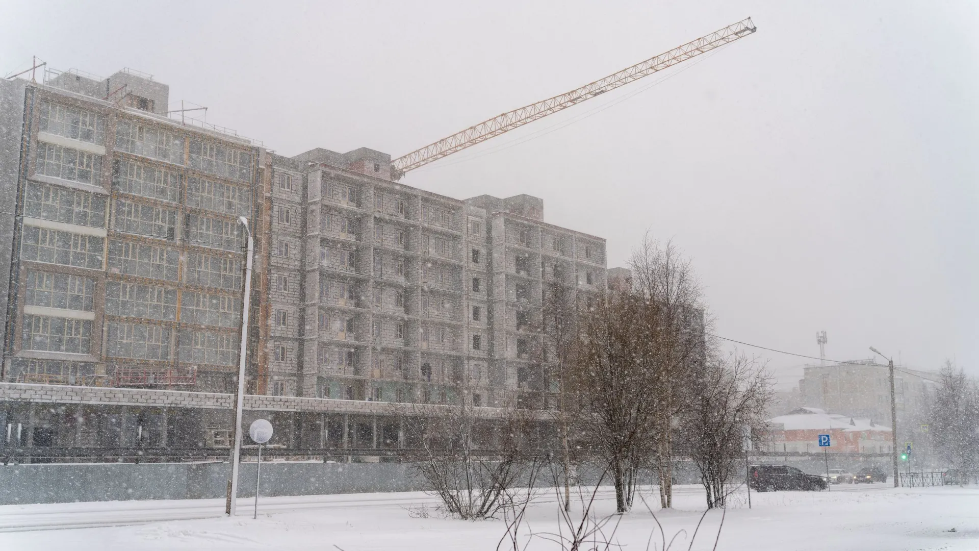 Фото: Сергей Зубков / «Ямал-Медиа»